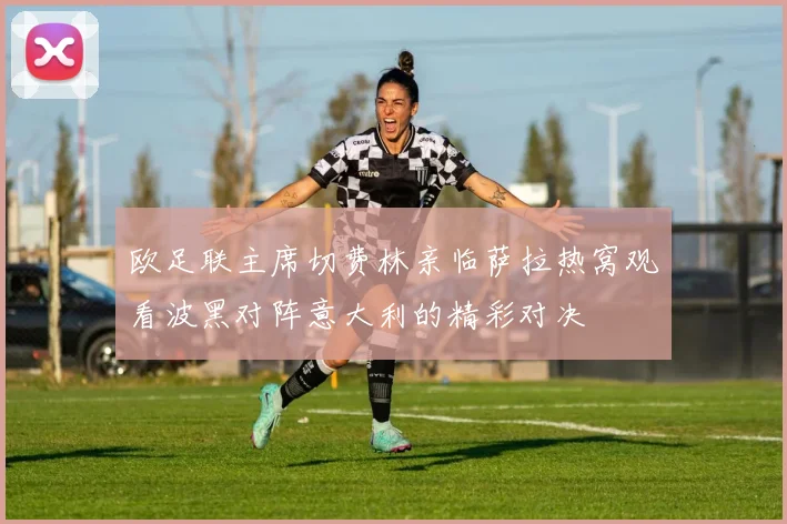 欧足联主席切费林亲临萨拉热窝观看波黑对阵意大利的精彩对决